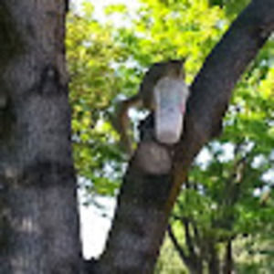 Meet your Posher, Jimmy